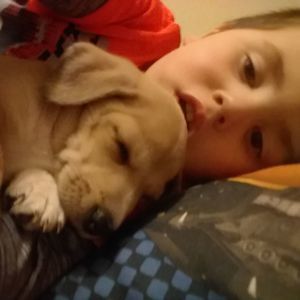 Meet your Posher, Damion